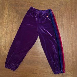 Aviator Nation Purple velour jogger pants sz 6
